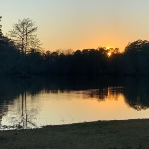 Meet your Posher, Madelyn